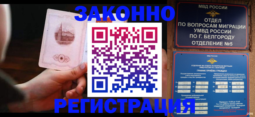 прописка 2025 в Тайге